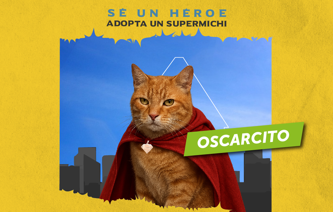 Adopta-un-supercriollo-o-un-supermichi!